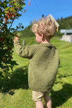 Load image into Gallery viewer, William genser, barn fra 12/18 mnd og opp til 10/12 år, norsk strikkeoppskrift